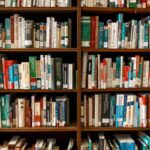 Bookshelves - Assorted Books on Book Shelves