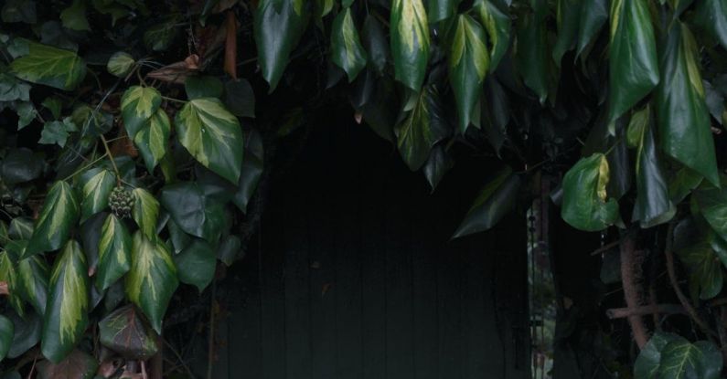 Hidden Storage - Entrance to Cellar Hidden in Bushes