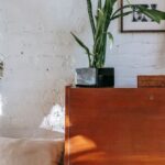 Loft Bedroom - Retro cabinet with potted plant near comfy bed